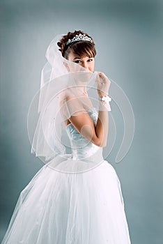 Bride dressed in elegance white wedding dress
