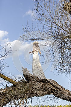 BRIDE IN THE FIELD BETWEEN TREES AND NATURE