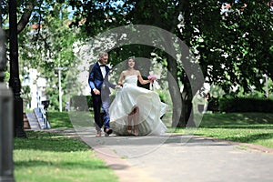 Bride and groom on the background of the park alley.
