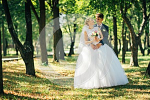 The bride and groom on the background of the park alley