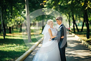 The bride and groom on the background of the park alley