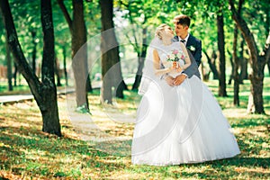 The bride and groom on the background of the park alley
