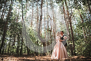 Bride and groom on the background of trees and woods in full growth