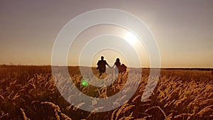 The bride and groom beautiful young couple. run on field with wheat at sunset silhouette of sunlight