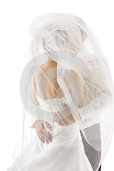 Bride and Groom Covered Veil, Wedding Couple Kissing, Back Rear