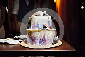 The bride and groom cut a beautiful wedding white cake decorated with berries