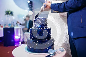 Bride and groom cut blue wedding cake.