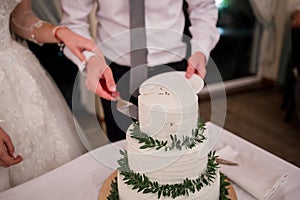 Bride and groom cut a wedding cake