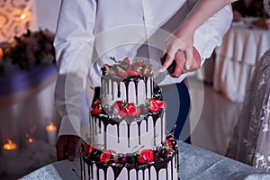 Bride and groom cut a wedding cake