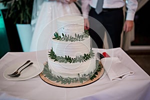 Bride and groom cut a wedding cake