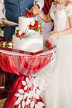 Bride and groom cut a wedding cake 2