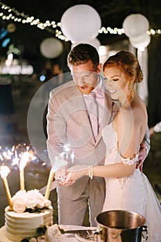 Bride and groom cut the wedding cake