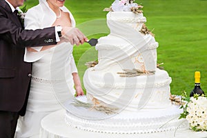 Bride and groom cut a wedding cake