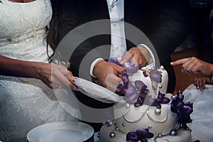 Bride and groom cut a wedding cake