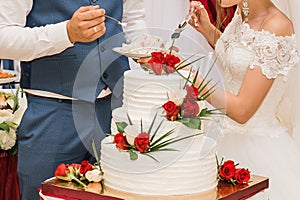 Bride and groom cut a wedding cake 4