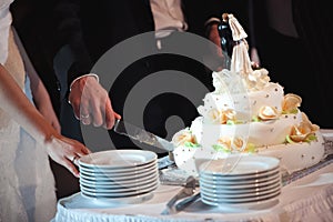 The bride and groom cut the wedding cake