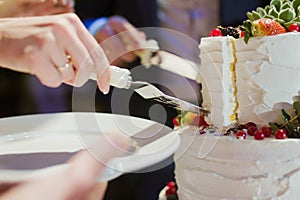 Bride and groom cut wedding cake