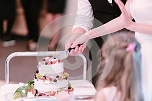 Bride and groom cut the wedding cake close up