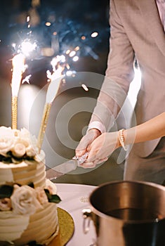 Bride and groom cut the wedding cake. Close-up