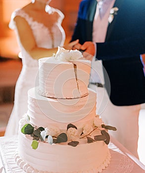 Bride and groom cut the wedding cake on the table. Cropped. Faceless