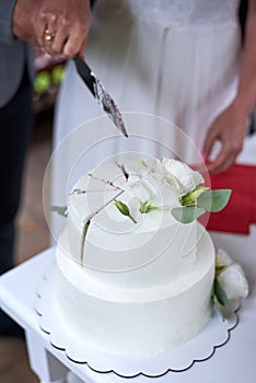 The bride and groom cut a wedding cake together