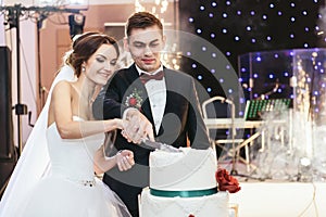 Bride and groom cut the wedding cake together