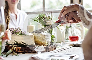 Bride and Groom Cutting Cake on Wedding Reception