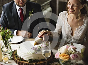 Bride and Groom Cutting Cake on Wedding Reception