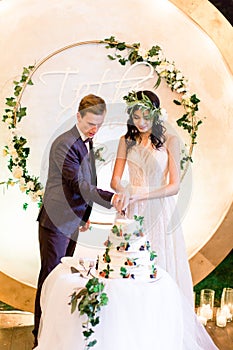 Bride and groom cutting their rustic wedding cake. beautiful wedding cake. wedding reception outdoors.