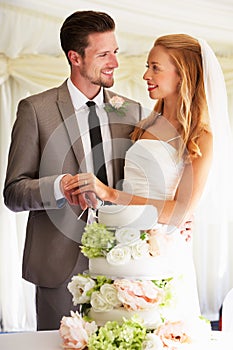 Bride And Groom Cutting Wedding Cake At Reception