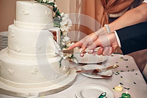 Bride and Groom Cutting the Wedding Cake