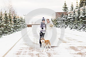 Bride and groom with dog Huskies in winter