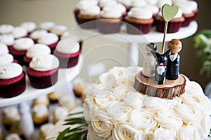 Bride, groom, and dog wedding cake topper