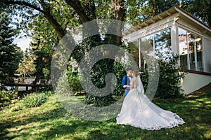 The bride and groom embrace and kiss each other standing under the centuries-old huge oak tree, which overgrew the