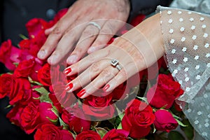 Bride and groom with Engagement gold rings put their hands . The girl and the boy put their hands. The girl and the boy