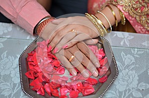 Bride and groom with engagement rings in fingers kept on rose petal.