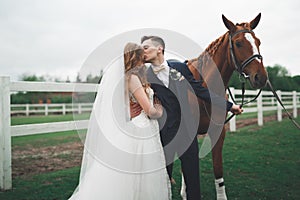 Bride and groom in forest with horses. Wedding couple. Beautiful portrait in nature