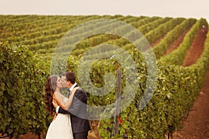 Bride and groom at a green cold rainy day vineyard