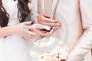 Bride and groom hands holding a small butterfly outdoors