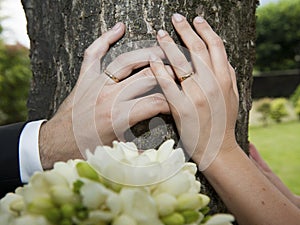 Bride and groom hands photo