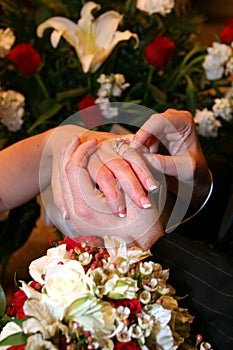 Bride and Groom Hands with Rings 2