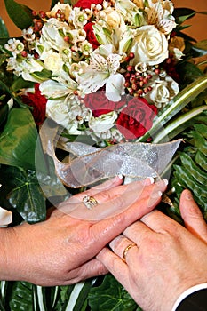 Bride and Groom Hands with Rings