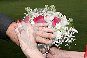 Bride and Groom hands showing rings
