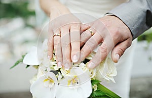 Bride and groom hands with wedding rings