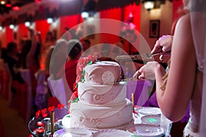 Bride and groom hold knife and cut wedding cake