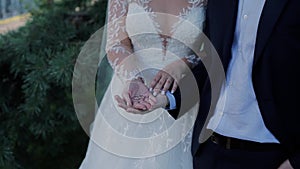 Bride and groom holding gold wedding rings in their hands