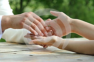 Bride and groom holding hands