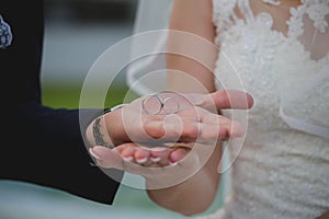 Bride and the groom holding the wedding rings