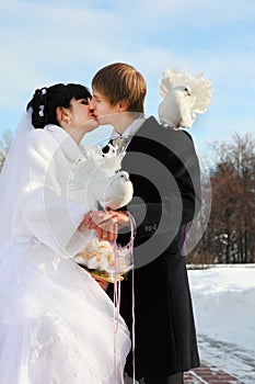 Bride and groom kiss and hold white dove at winter