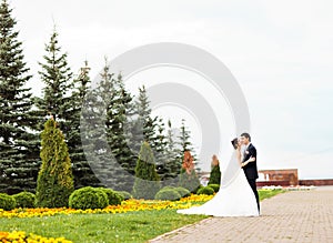 Bride and groom kissing in park